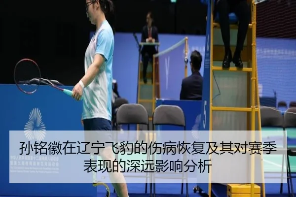 孙铭徽在辽宁飞豹的伤病恢复及其对赛季表现的深远影响分析
